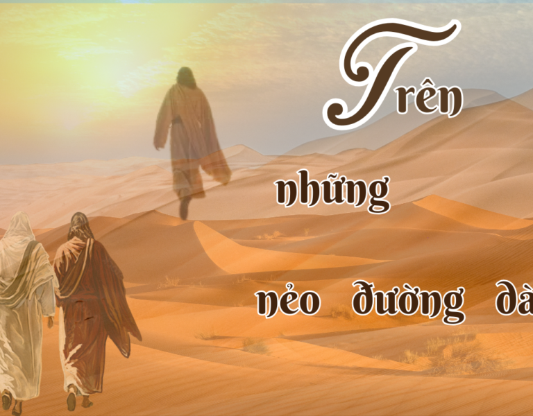 Trên Những Nẻo Đường Dài…